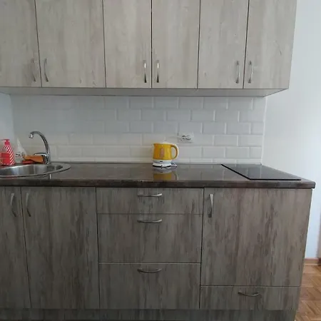 Apartment Delta Sava New